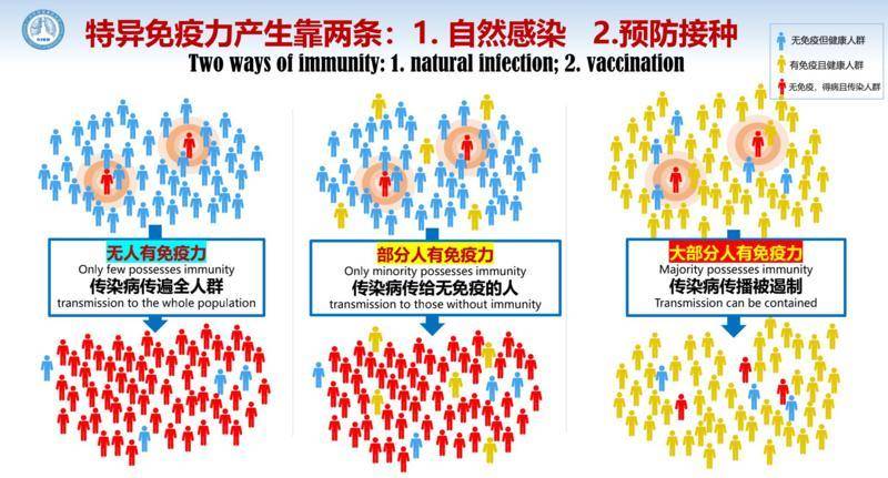 特异免疫力产生靠两条：自然感染，预防接种。当大部分人有免疫力，传染