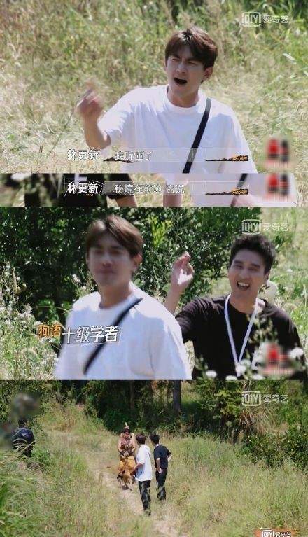 林更新|最后的赢家林更新好难！跑滚轮秒变仓鼠，面对恶犬成狗语十级学者