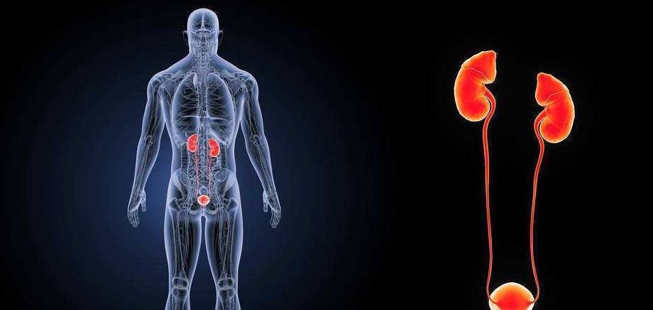 补充|肾脏疾病的病因是“慢性肾小球肾炎”，前期无症状，发现后中晚期