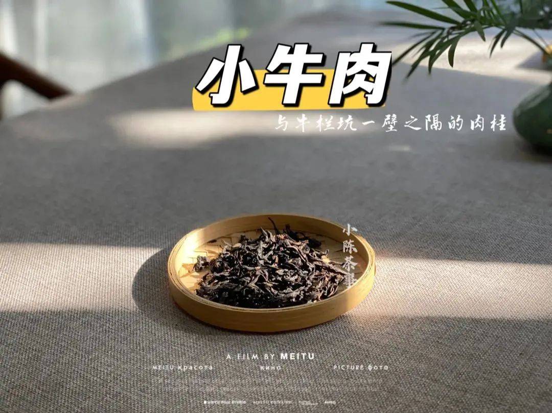 因为|酸味比苦味更过分,在白茶和红茶中喝到,赶紧舍弃吧!
