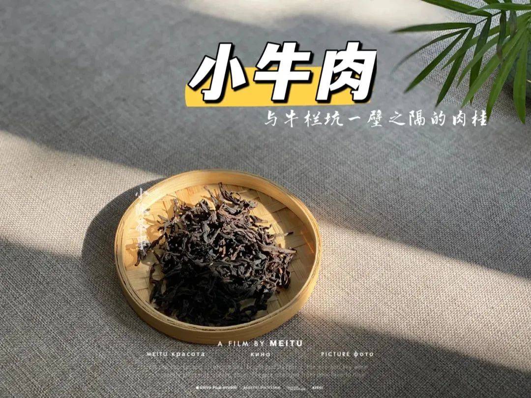 因为|酸味比苦味更过分,在白茶和红茶中喝到,赶紧舍弃吧!
