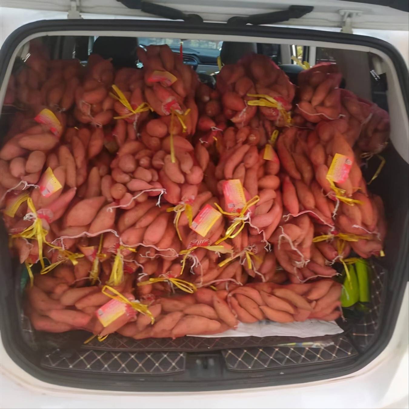 山东一10岁女孩街头卖红薯,趴椅子写作业,背后故事令人感动落泪