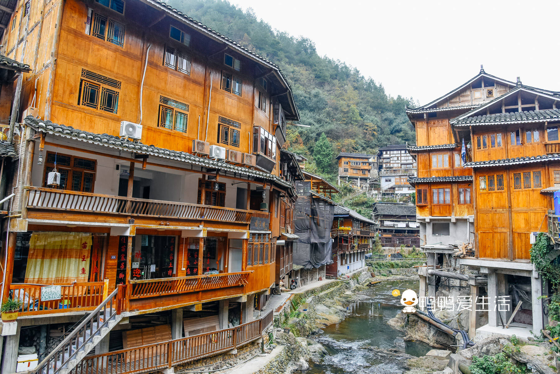 全世界|全世界最大苗族聚居村寨，余秋雨形容“以美丽回答一切”，有特色