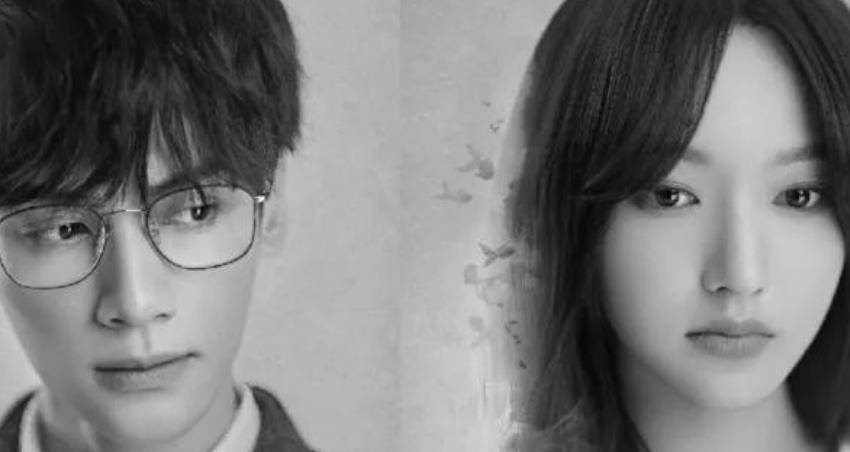 张雨绮|拒绝片荒！盘点2022年上线的9部电视剧，您最喜欢哪一部？