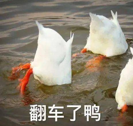 棕色这几种发色秋冬千万不要染！我怕你美到窒息！