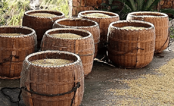 朱元璋抬来3筐稻谷让考生评优劣,刘伯温脸色骤变:有人要死了!_科举