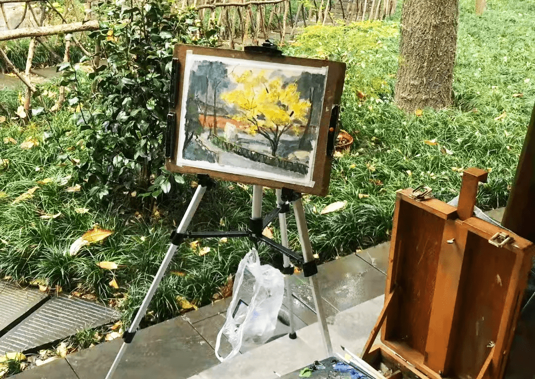 什么|甲友心声——切了这只蝴蝶，我还有很多翅膀