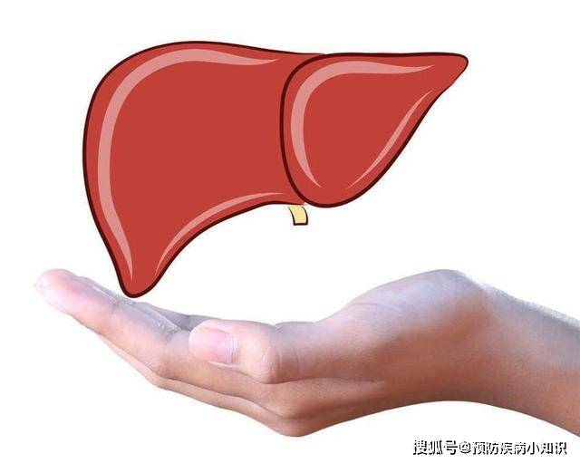 肝脏|为什么中医讲“百病从肝治”？哪些因素会导致肝脏受损？建议避开