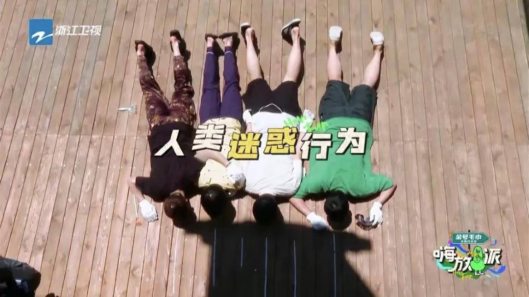 模式|不看都亏的神仙综艺，还得是它！