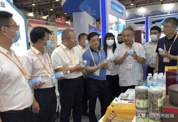 乾县五芝堂生物科技有限公司总经理郑炜专访_太岁