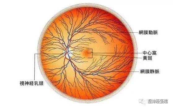 视神经萎缩是很多疾病过程的症征