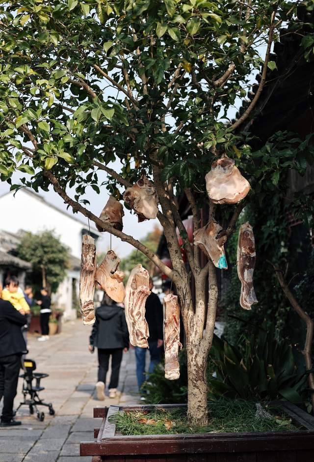 白糖|在震泽古镇品味时光交替的新老味道