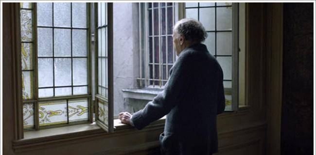 鸽子|电影《爱》带你洞见爱情最后的样子