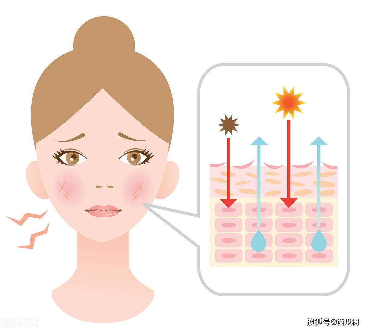 方法资深美容师教你、护肤小知识——用油护肤到底是科学的吗？