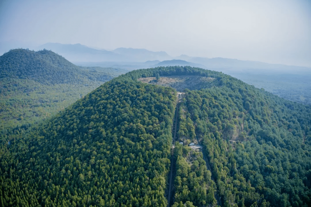 茶园|乡村游丨火山秘境山茶之乡马站