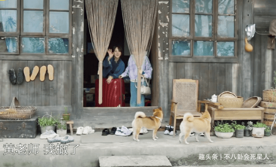 现实|杨紫一人录三期,11个小艺人录一期,《向往》揭露红与不红的现实