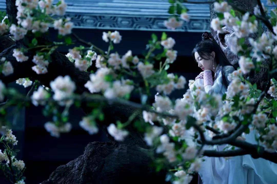 灯笼|离谱，这是特意来恶心人的吧？