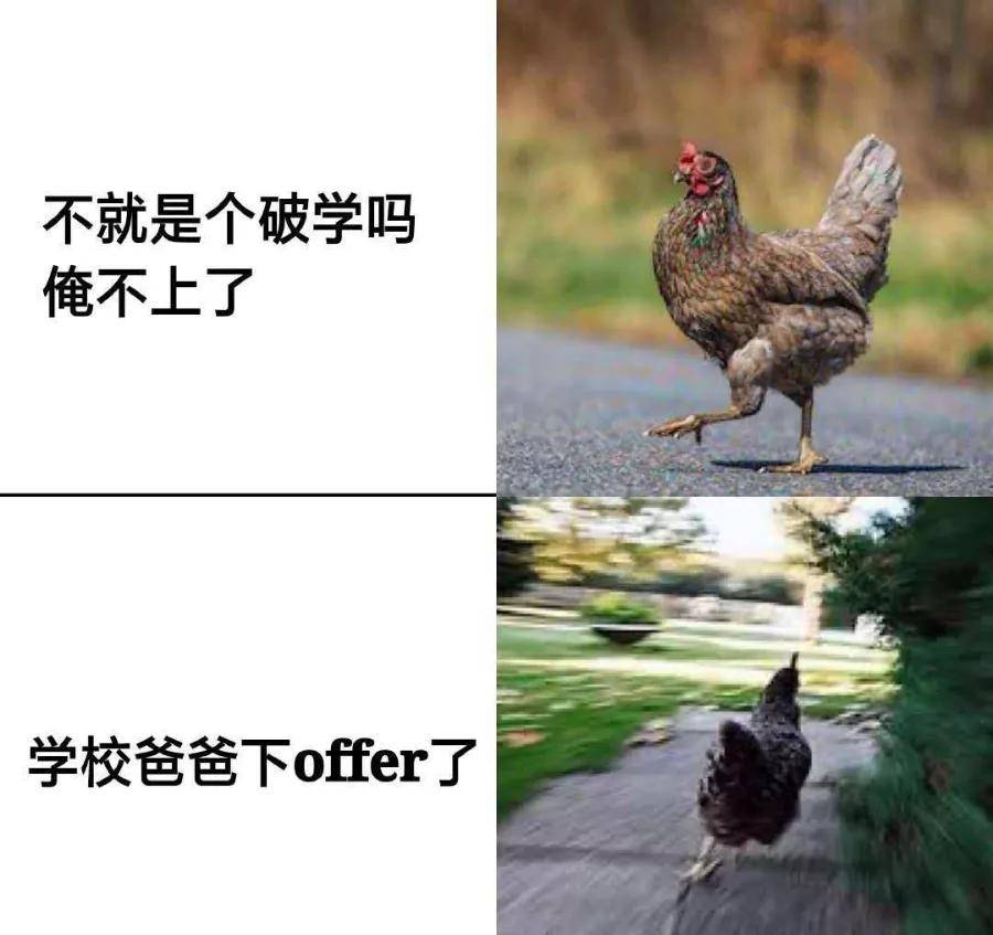 8a17db1e7eb54b61b4cd20e0b4536278.jpeg