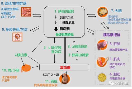 葡萄|为什么一样的食物？没人吃血糖会升高？