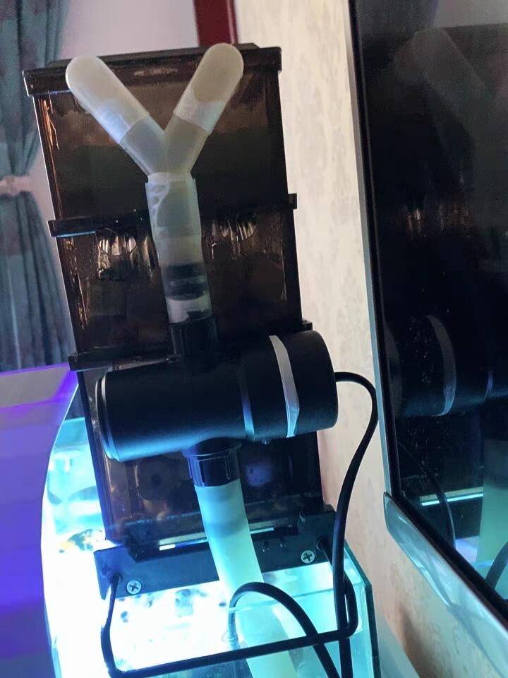 鱼缸杀菌灯的正确使用方法鱼缸杀菌灯一般开几个小时最佳