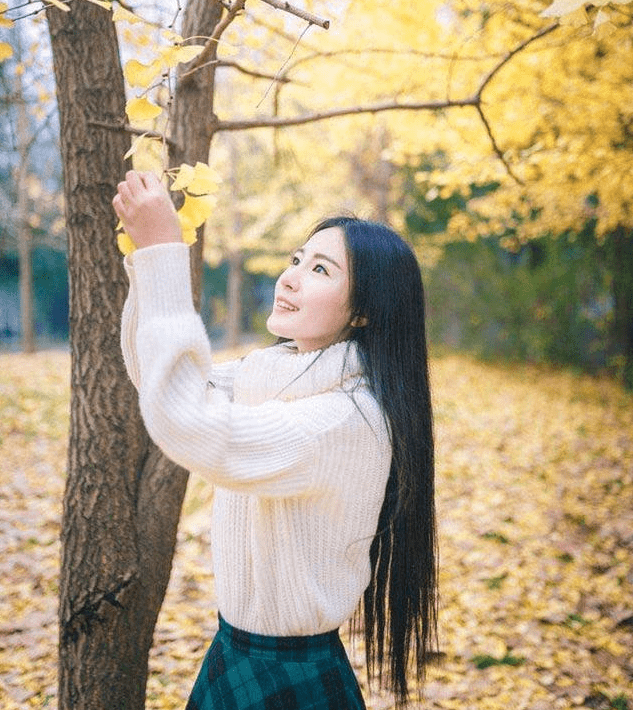 银杏花语 传说和旅游景点推荐 又是一年深秋季 银杏遍地撒金黄 万物