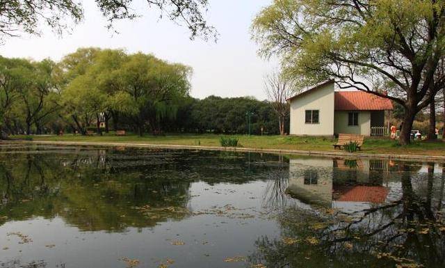 上海闹市中有处森林公园，既有丘陵湖泊草地，也有小桥流水景观