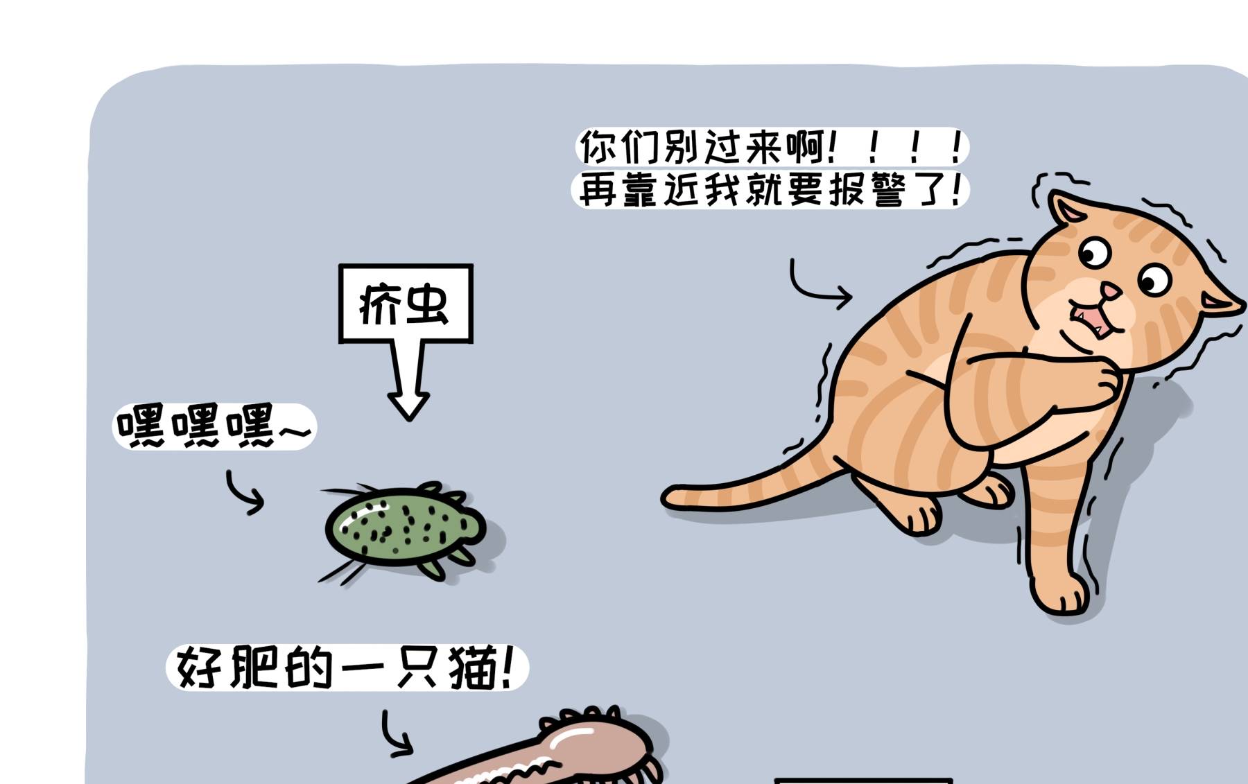 你知道吗？猫也会得抑郁症，并且某些症状还和人类一样_脱毛- 全网搜