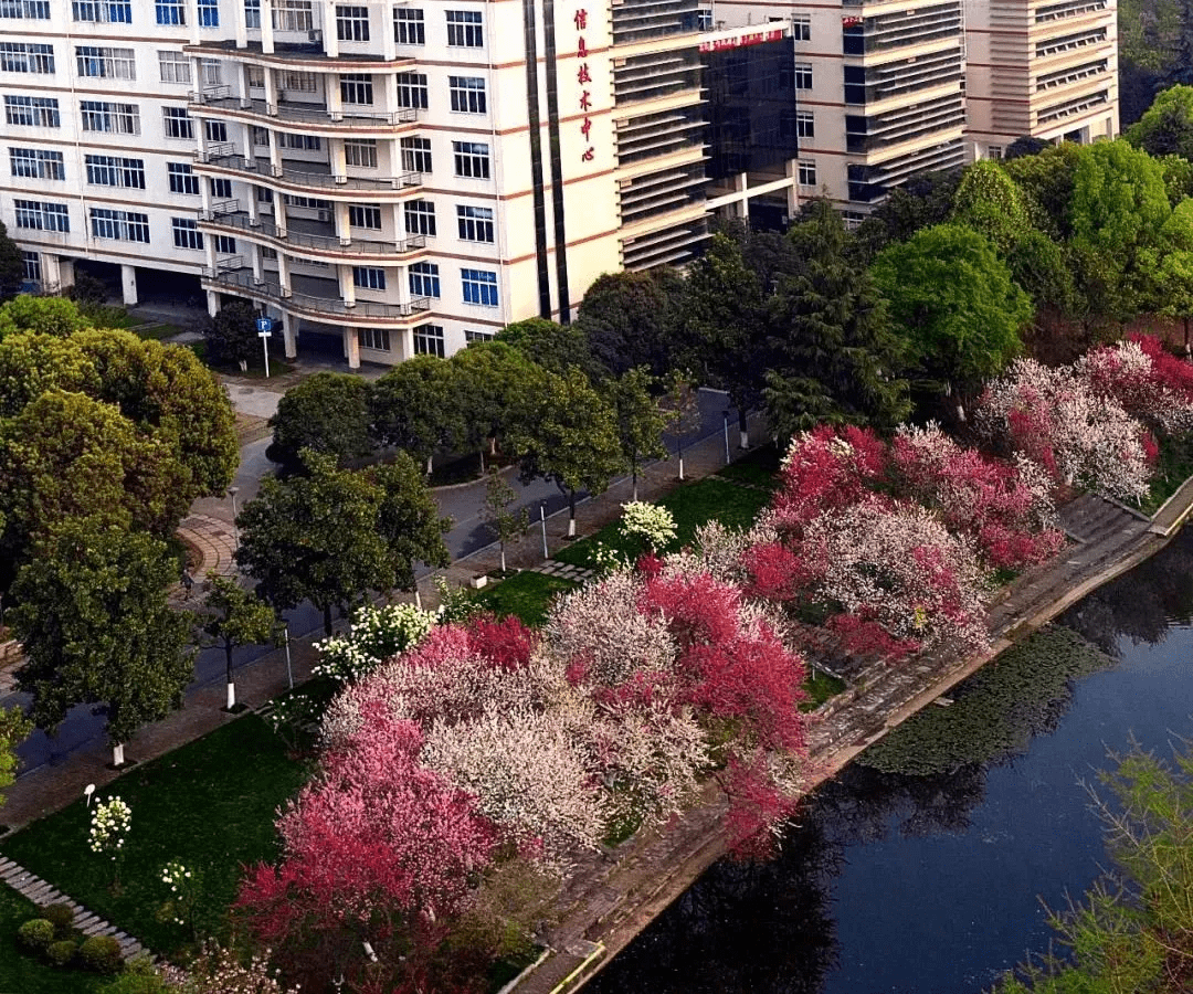 2022高考志願填報三峽大學