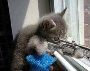 家长|每日一笑:最近减肥,我和男朋友一起吃早餐,习惯性把一半给他!