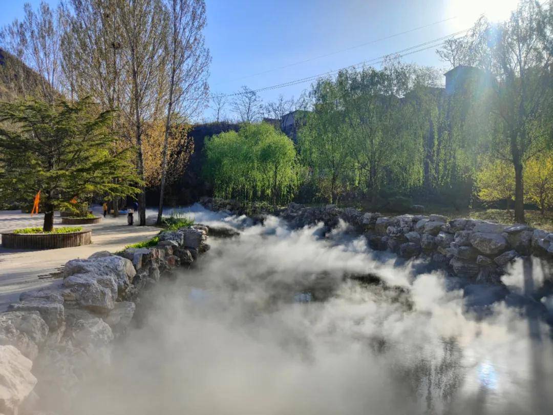 【善瑞雾森】线上来欣赏景区雾森的美