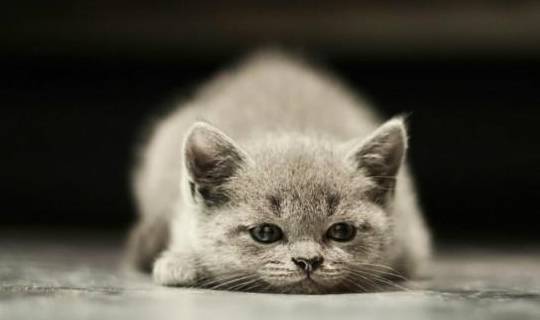 老公|每日一笑:朋友聚餐,谈到老婆这个话题,我实在控制不住自己!