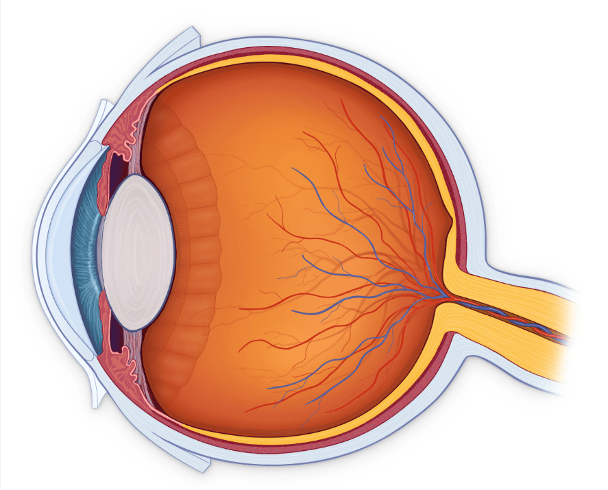 视力|冬天天气寒冷，做白内障手术有影响吗？眼科医生给你专业解答！
