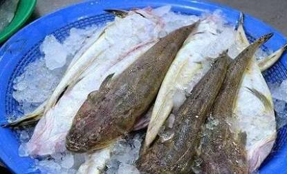 原创此鱼长相丑陋，我国3元1斤很少人吃，出口日本成“高档鱼”