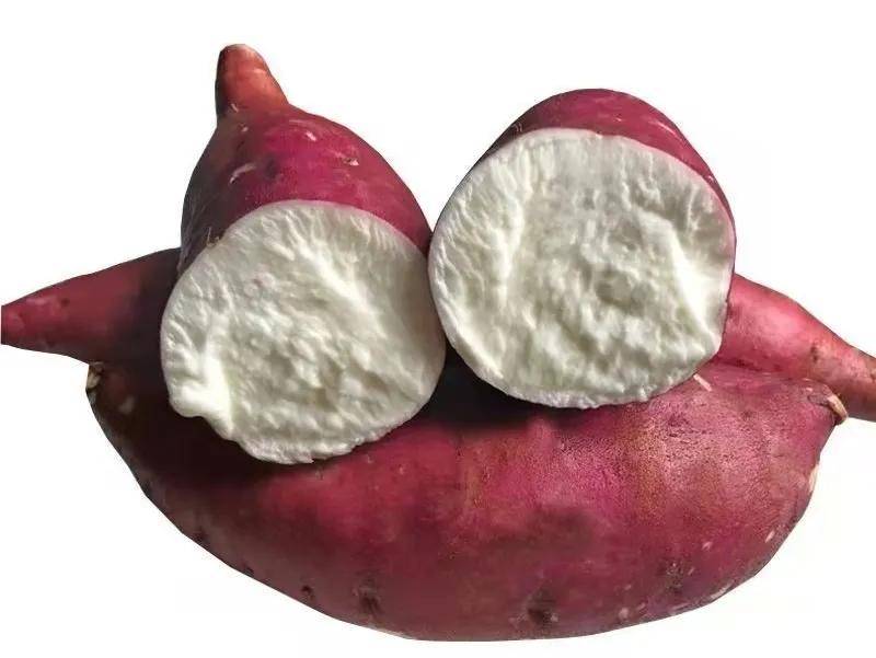 地瓜|哪种地瓜能量最高？这7个吃地瓜的真相得知道