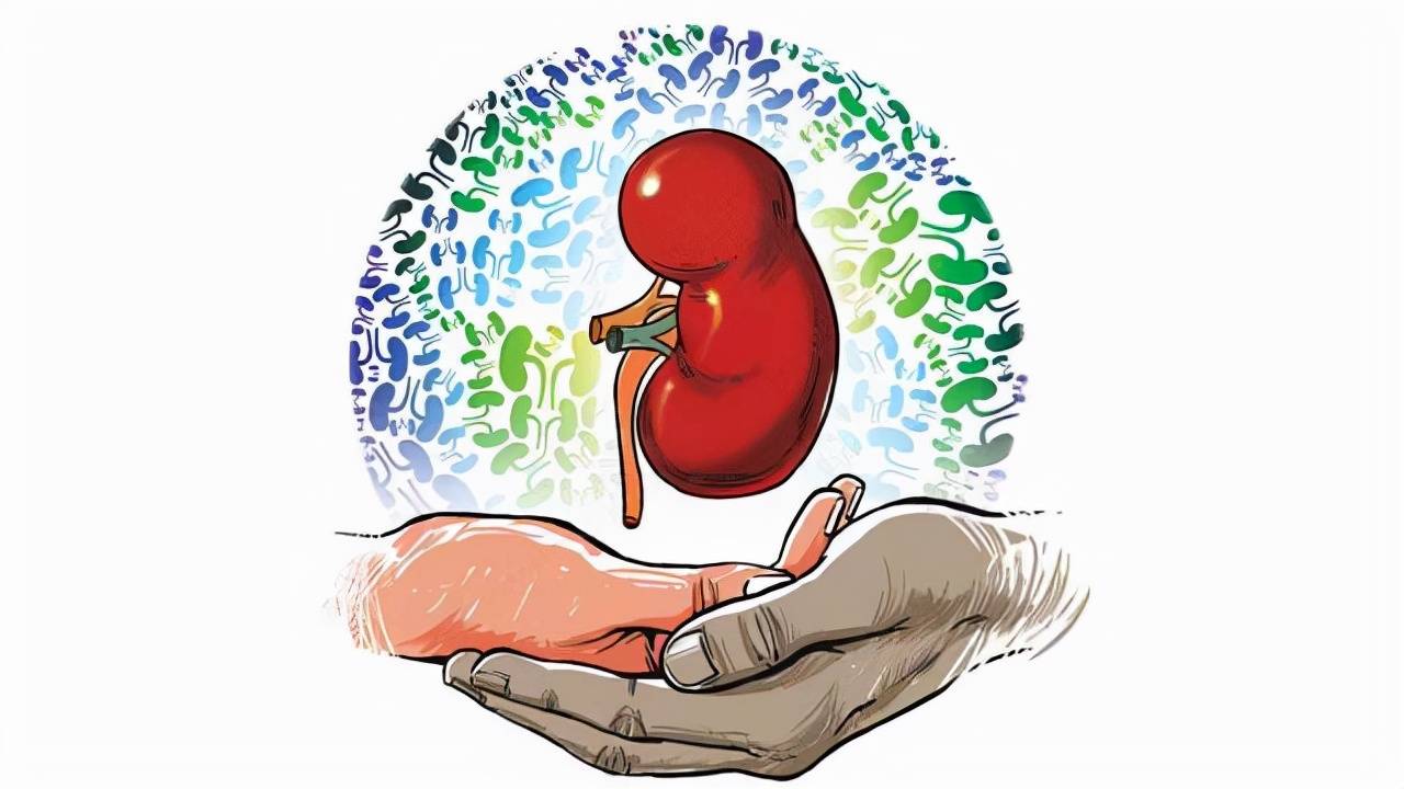 肾脏|高血压会发展为尿毒症？医生提醒：关注3个症状，可能是预警信号