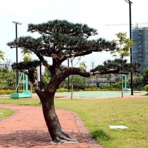 仿真树的种类有哪些