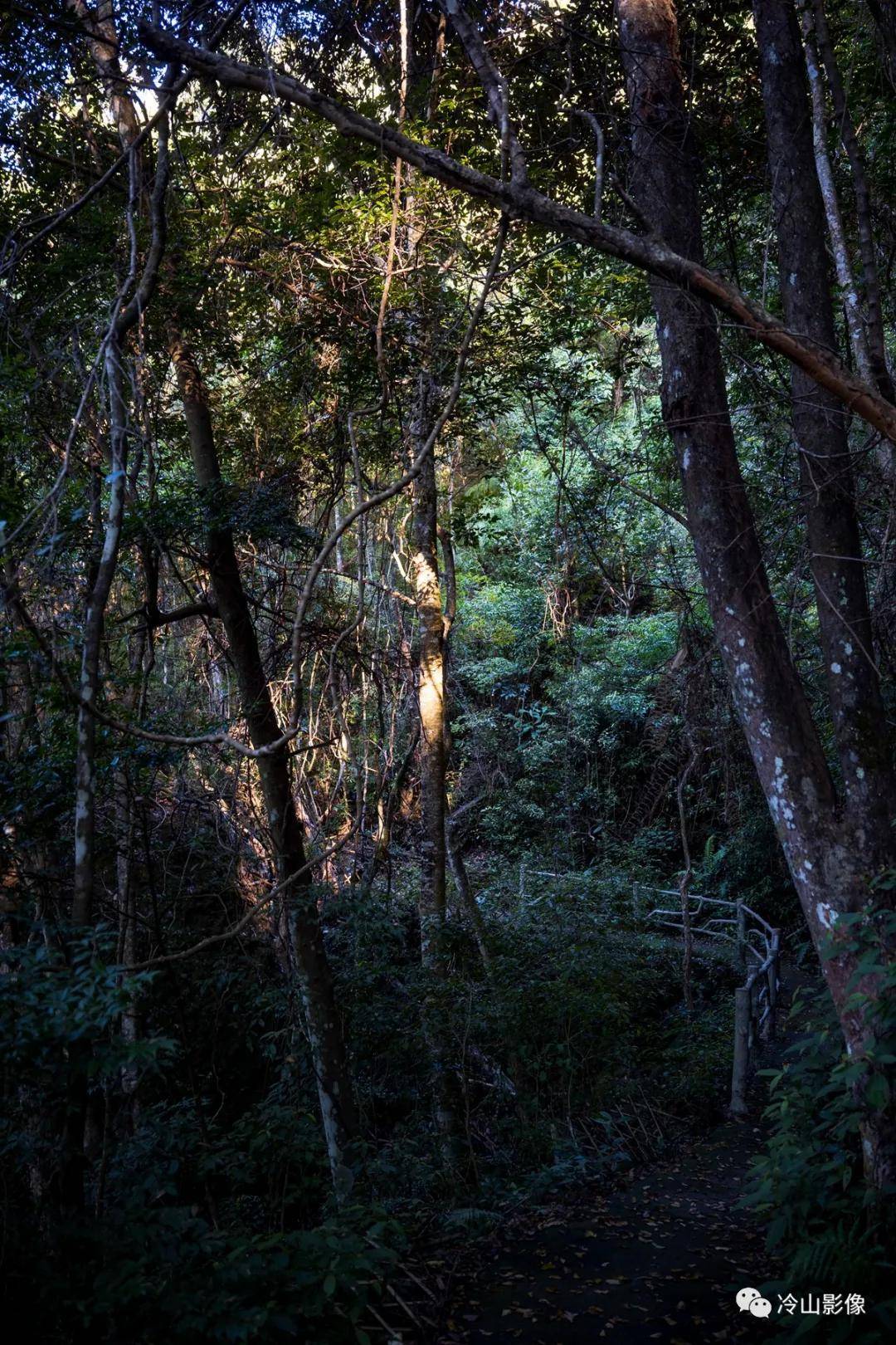 青云山|永泰旅行：谁道秋色不如春，不负周末小美好