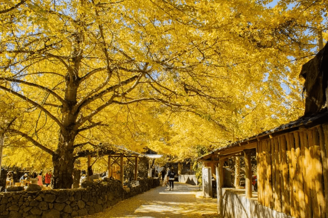 地图|腾冲人眼中的云南地图