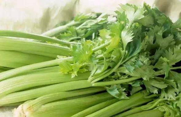 吃什么菜对头发有好处 9a87cd155e8a416c8d2964872ae9bb14.jpeg