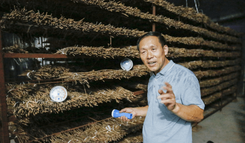 并发症|胰岛的“加强剂”，不是萝卜，医生：53岁大叔常吃，血糖从12.8到5.3