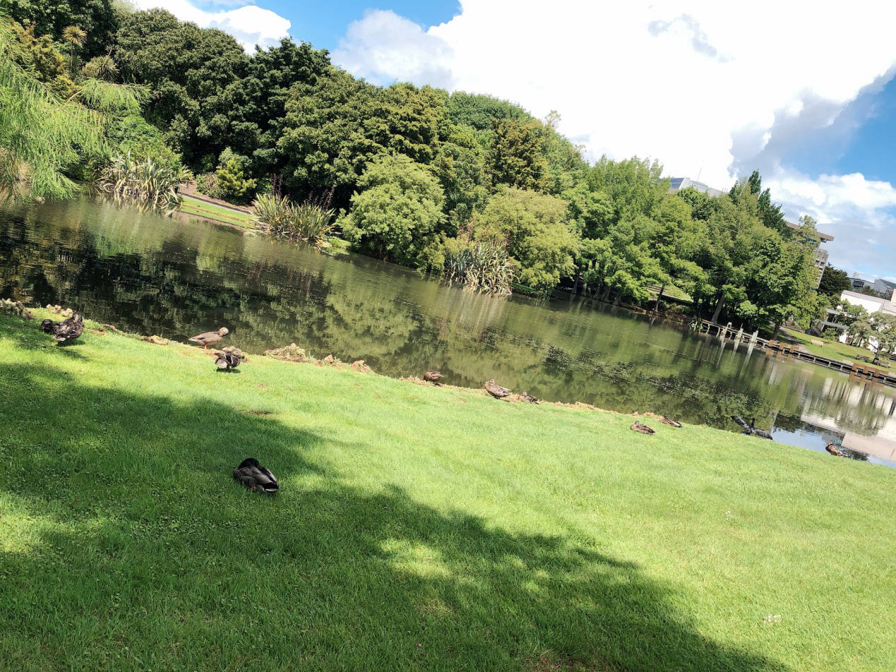 新西兰大学排行榜_2022新西兰世界大学排名