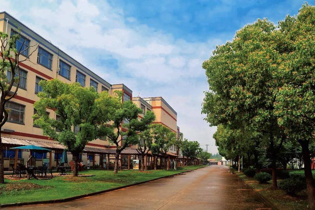 公主 “开箱”来袭！把震旦穿在身上，秋季“新衣”大揭秘