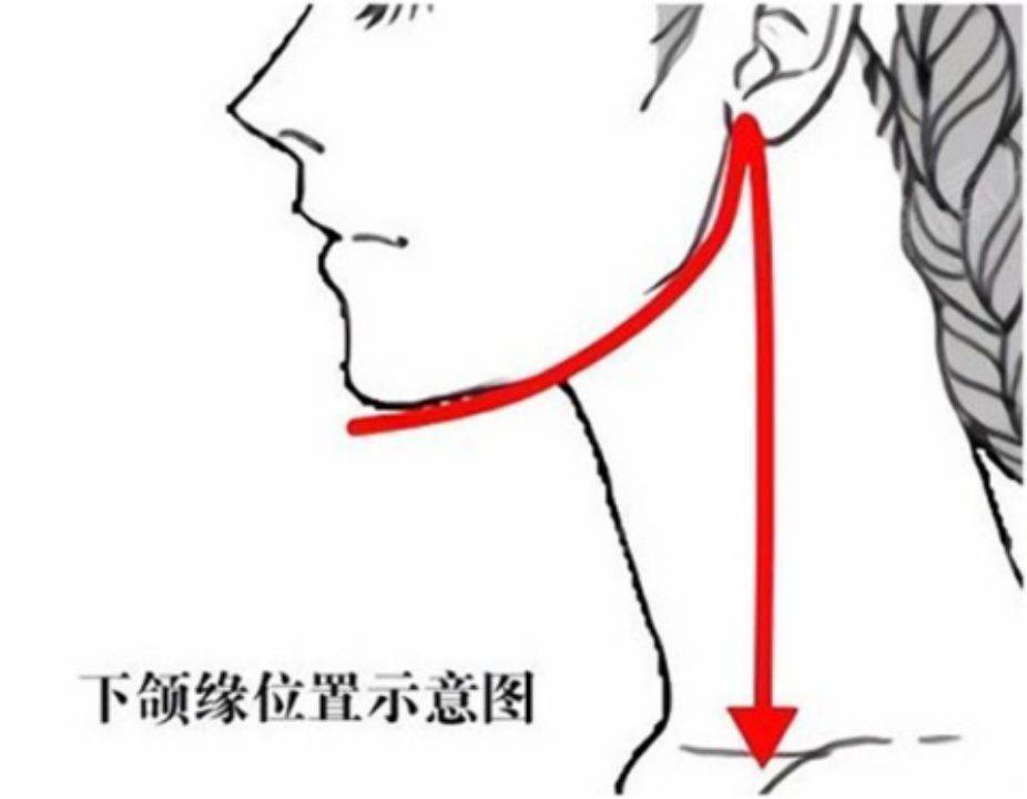 女神明星同款高级气质“女神线”，普通人也可以拥有吗？