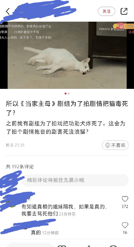 当家主母》收视滑坡又陷入争议事件，回应白回应，后续还能翻身吗？_白 