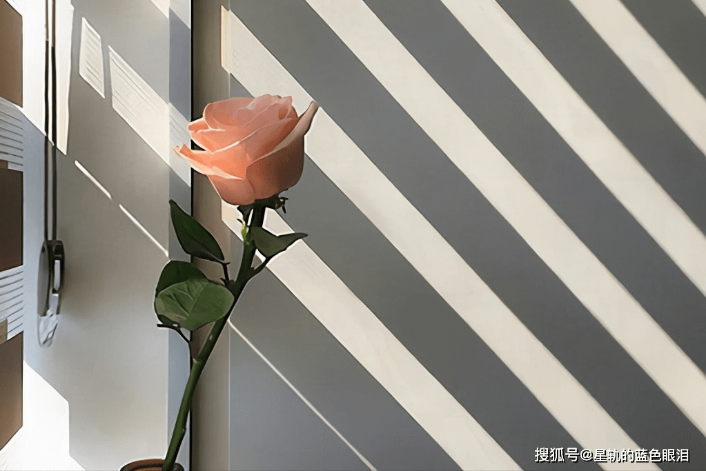 原创越爱越深的星座情侣很难轻易分开不是所有的爱都会败给新鲜感