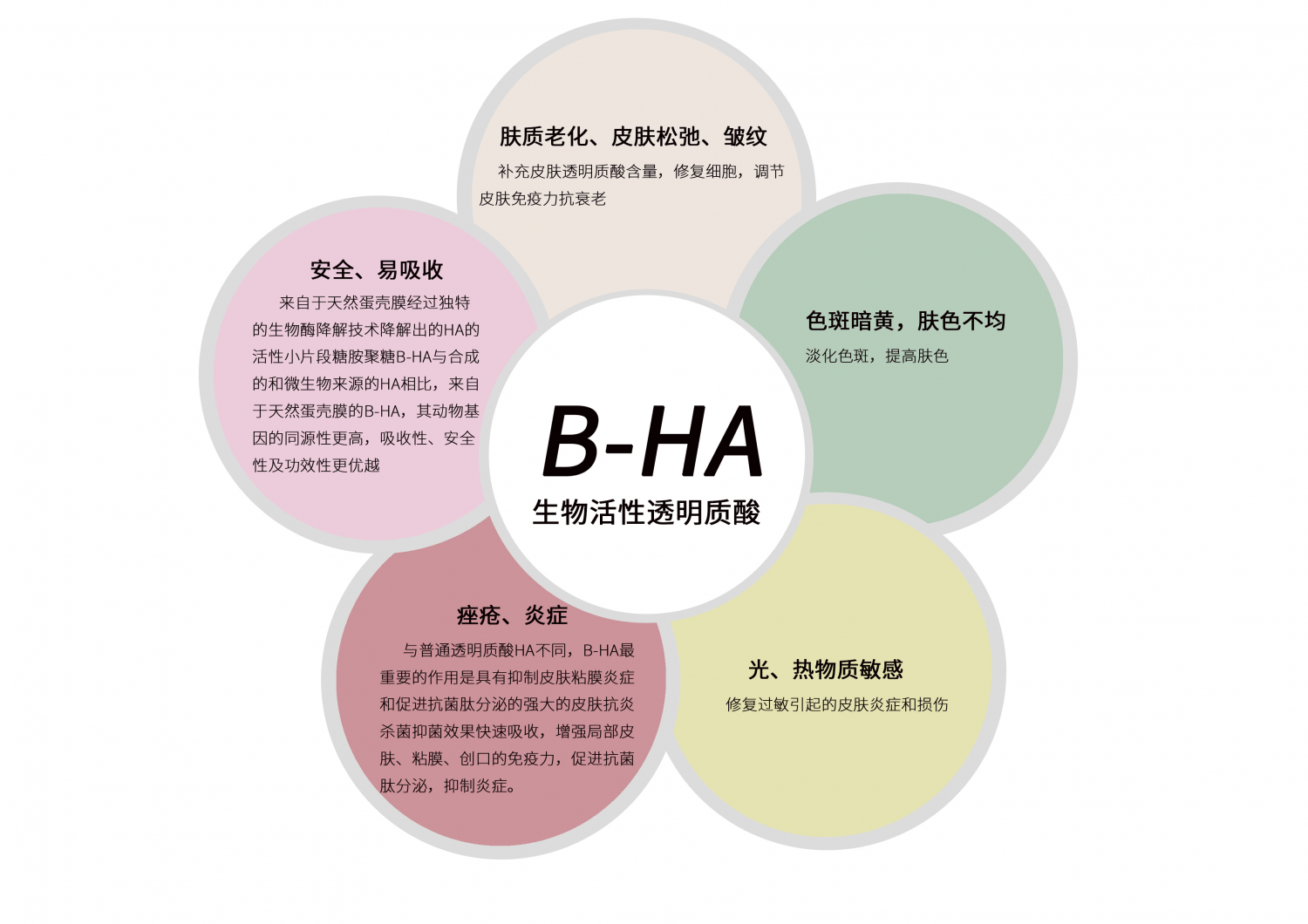 国货新标杆 ——哈尚美蛋膜肽