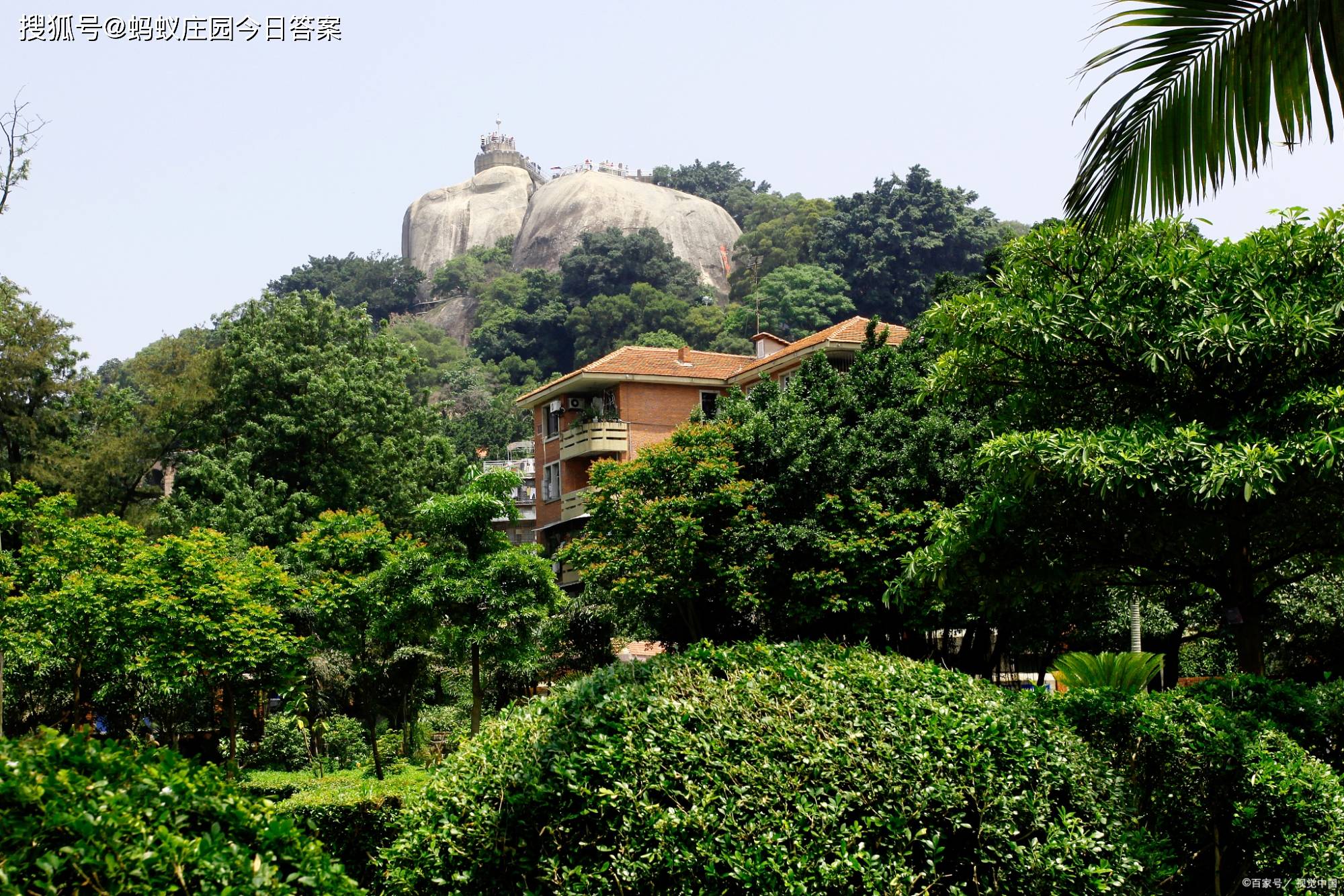 2,螞蟻莊園選項:日光巖,北固山1,螞蟻莊園問題:鼓浪嶼上的最高峰,有