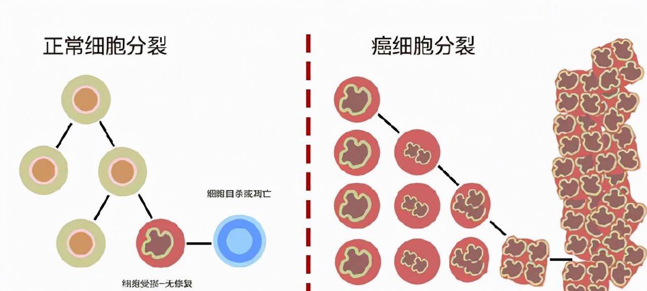 怎样才不会得癌症 6cb4a7de70f543daa43641cdfa0967ae.jpeg