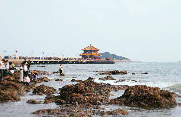 青島棧橋:憩時端坐,靜觀海天一色_旅遊_遊客_風景區