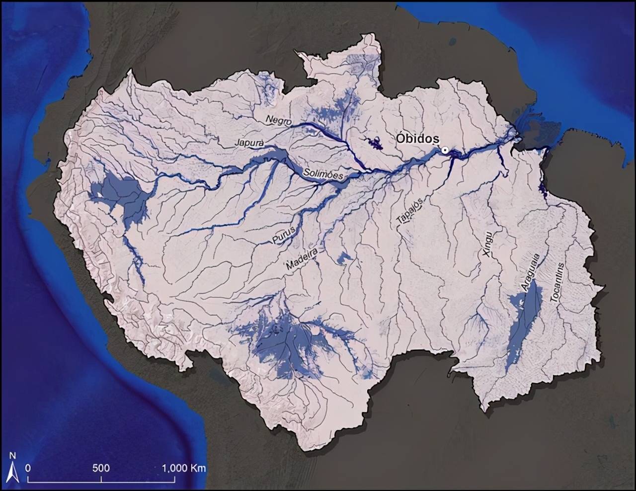 亚马逊河与长江相比牛在哪里？为什么说它可怕，没人敢下河游泳？